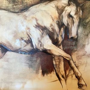 Meet your Posher, Cathi